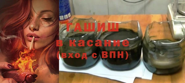 крисы Мегион