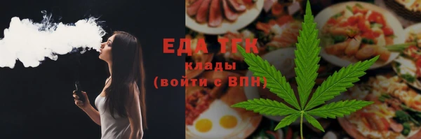 индика Медногорск