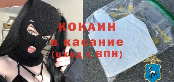 индика Медногорск