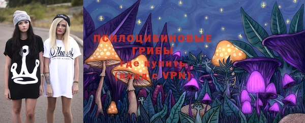 сатива Михайлов