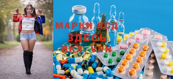 крисы Мегион
