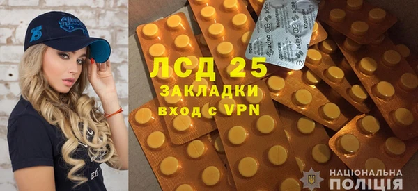 крисы Мегион