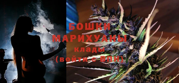 индика Медногорск