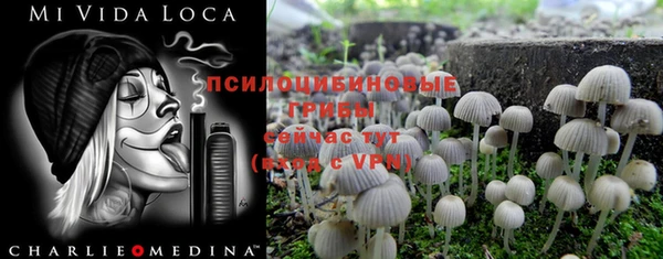 сатива Михайлов