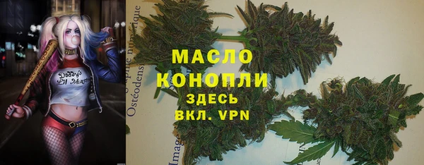 СК Медвежьегорск