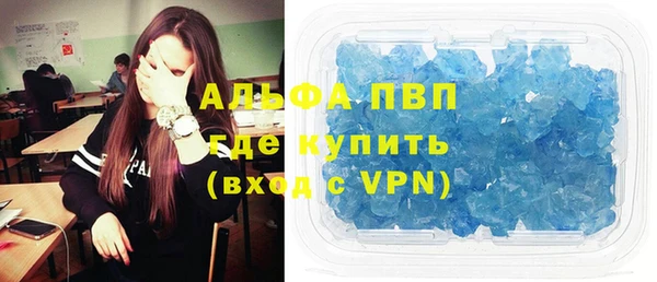 индика Медногорск