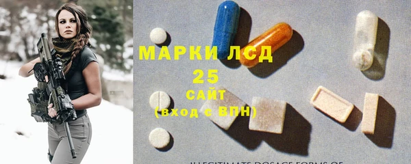 индика Медногорск