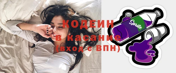 индика Медногорск