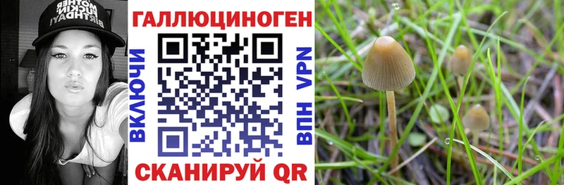 Псилоцибиновые грибы Cubensis Среднеколымск