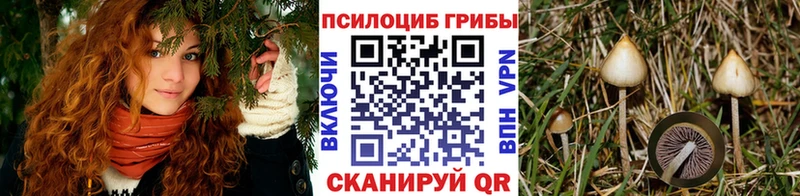 Галлюциногенные грибы MAGIC MUSHROOMS  продажа наркотиков  Среднеколымск 